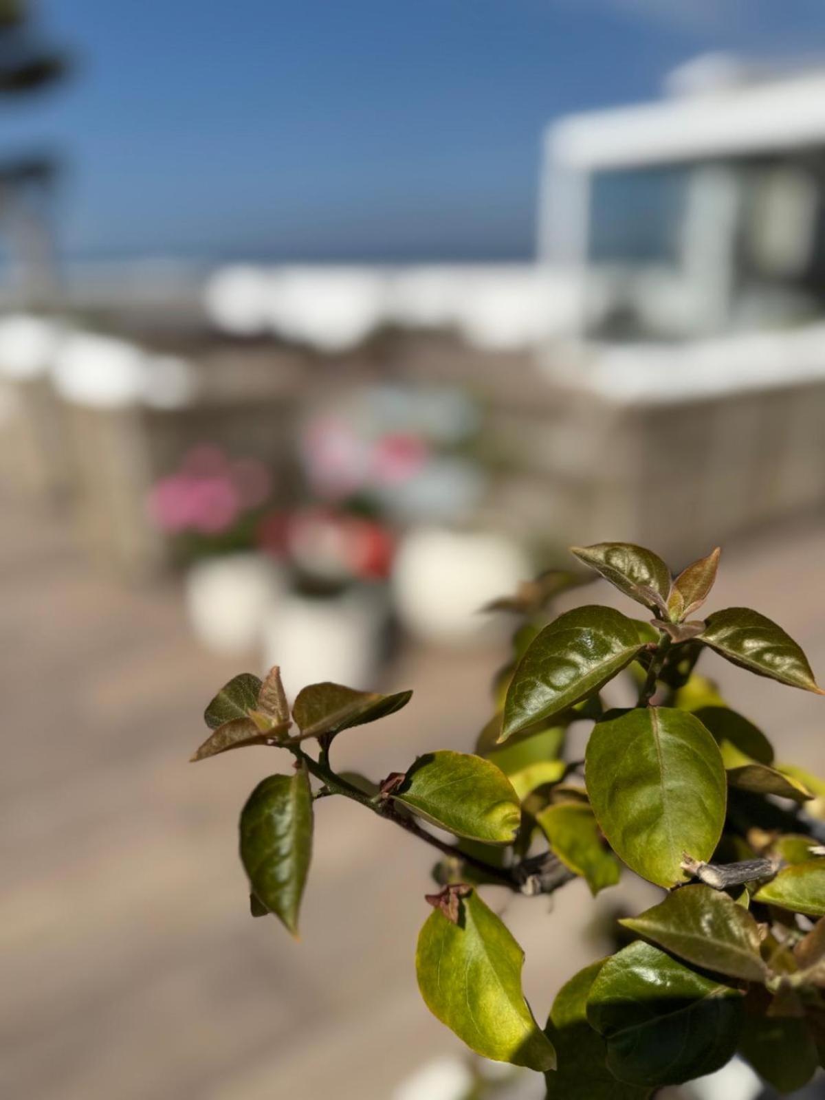 Bed and Breakfast La Chiaja Art&Relais Castellammare di Stabia Exterior foto